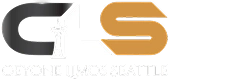 Ceyone Limos Seattle